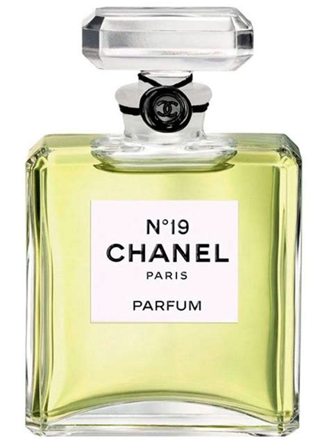 parfum chanel no 17|chanel 19 perfume offers.